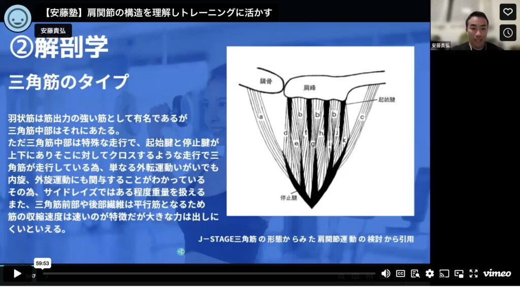 肩関節の構造を理解しトレーニングに活かす