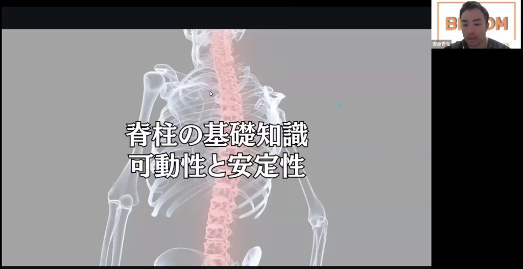 脊柱の基礎知識・可動性と安定性