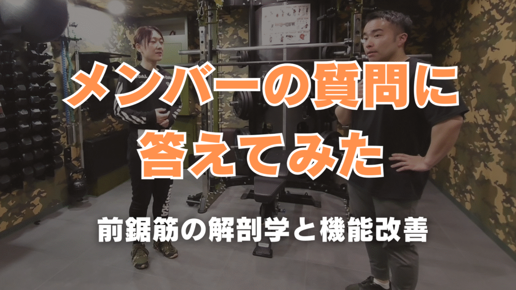 メンバーの質問に答えてみた 前鋸筋の解剖学と機能改善