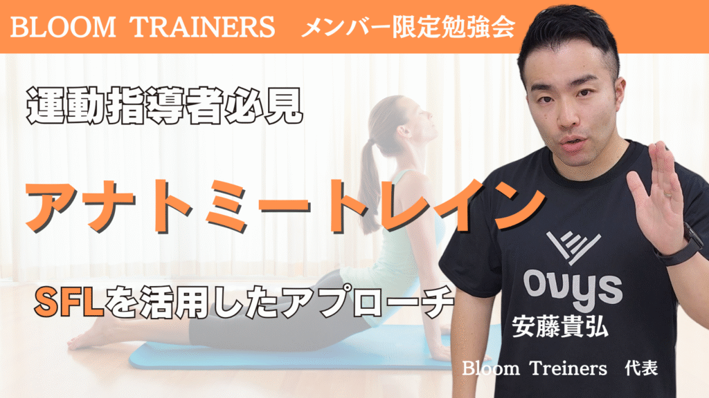 アナトミートレインSFLを活用したアプローチ