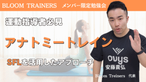 アナトミートレインSFLを活用したアプローチ