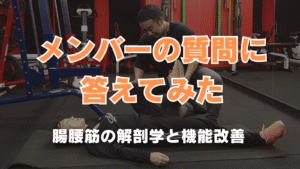 メンバーの質問に答えてみた 腸腰筋の解剖学と機能改善