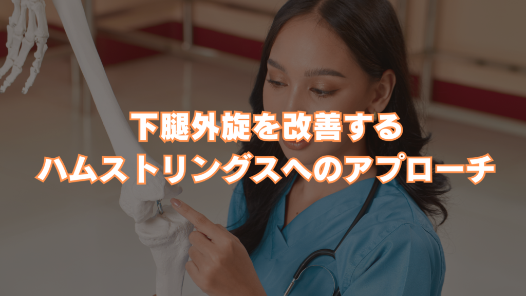 下腿外旋を改善するハムストリングスへのアプローチ
