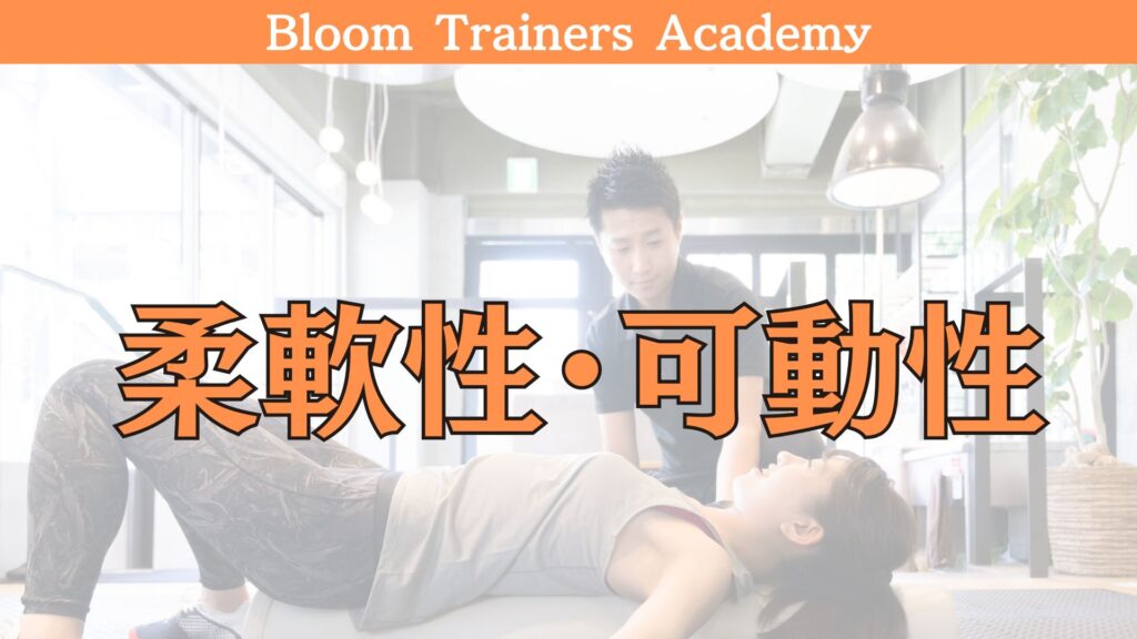 パーソナルトレーナーに必要な柔軟性や関節可動域を学ぶ講座です。