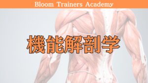 パーソナルトレーナーの解剖学を学ぶための講座