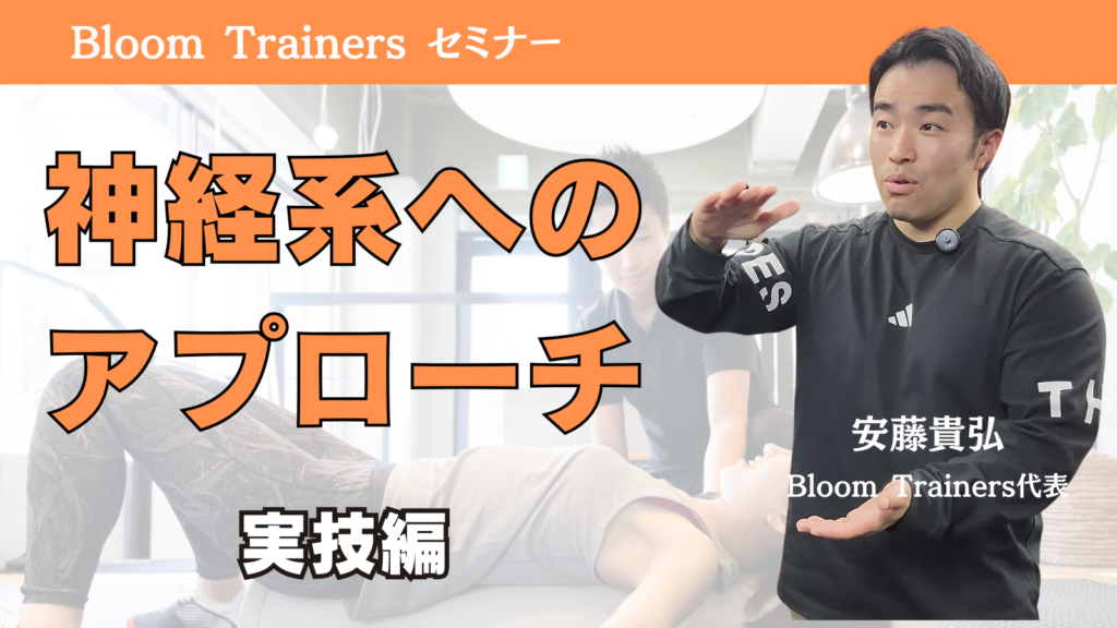 パーソナルトレーナーが知っておきたい神経へのアプローチ方法について解説します。